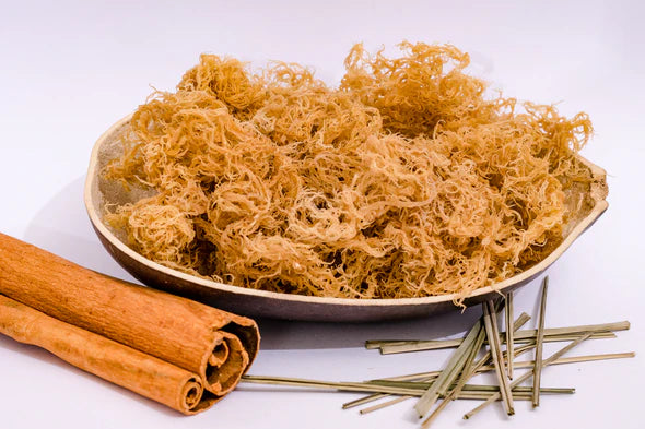 REVIVAFY - Gold Sea Moss