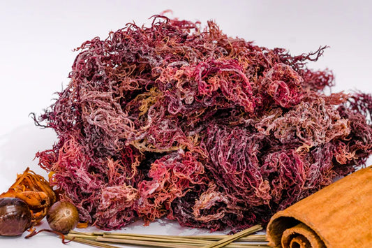 REVIVAFY - Purple Sea Moss