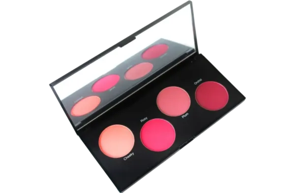 palettes (Blaze Beauty)