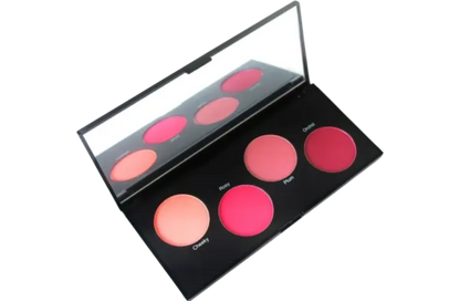 palettes (Blaze Beauty)